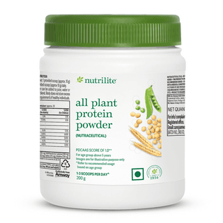 All Plant Protein Powder